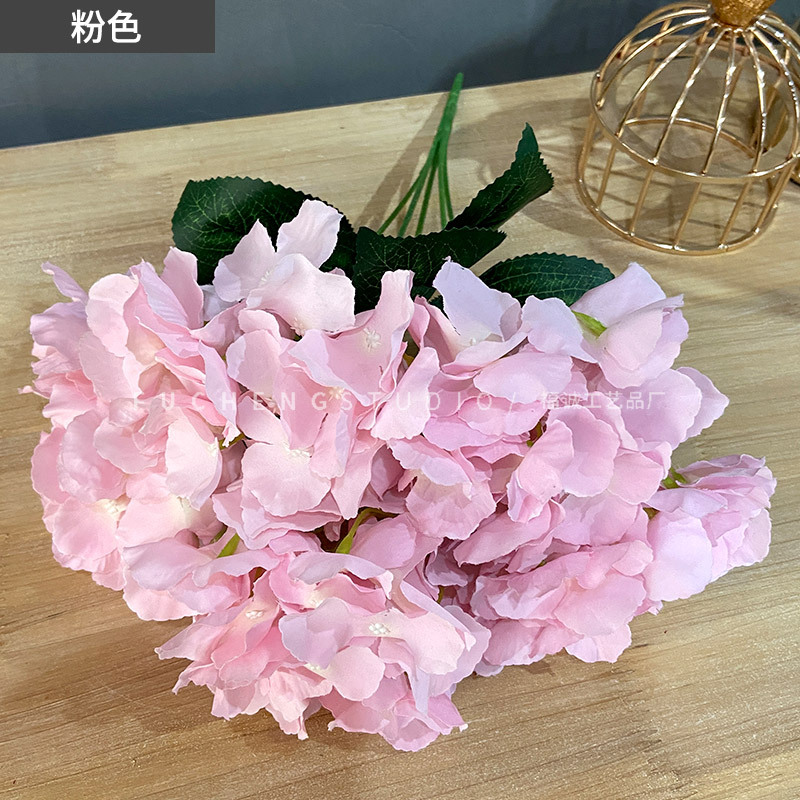 Pink (5 beams per color, less shots)