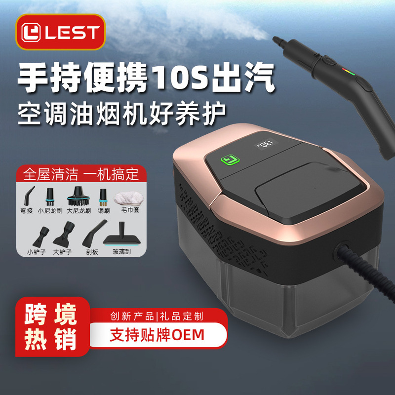High Temperature and High Pressure Steam Cleaner, Household Kitchen Cleaning Machine, Sofa Furniture Sterilization and Disinfection, Car Clothing Film