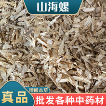 ɽ������ș�� ���~�����酢��ɽɽ���� ��ș�ĬF؛���l���l