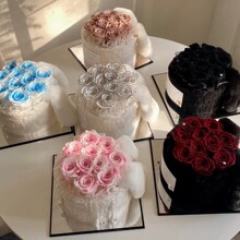 �W�t��Ʒ���˹��Y���ö��䱧��ͰС���L����������õ�廨�ɻ����l