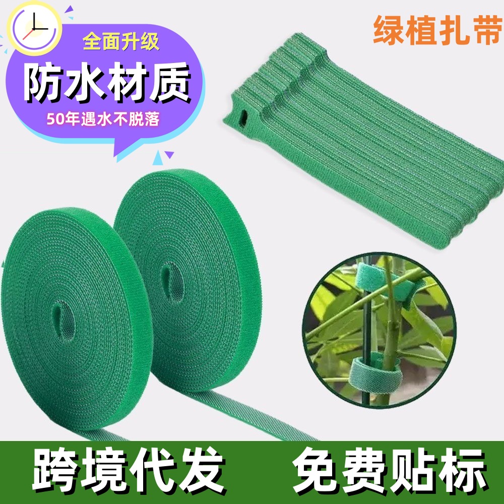 绿植园艺扎线扎带自粘植物捆绑带绿色爬藤植物捆绑固定魔术贴扎带