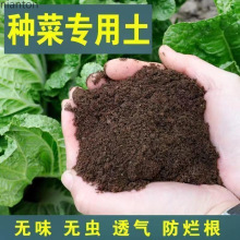 ��ͥ�N�ˠI�B���̨���Ԍ������ЙC�B�����߲˷Nֲ�����������