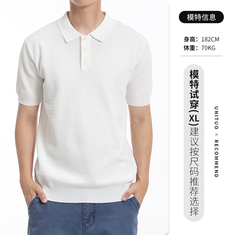 Hombres de alto nivel, camiseta de polo de hielo de punto, camiseta de verano de negocios, camiseta casual, ropa de hombre