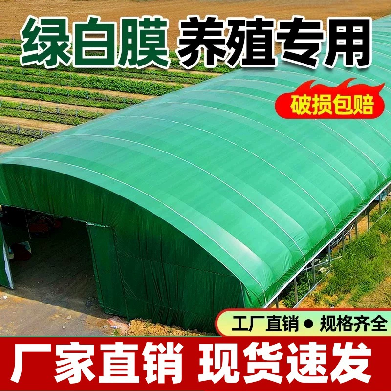 Зелено-белая пленочная тепличная пленка для разведения теплицы утолщенные съедобные грибы для посадки микропрозрачная антиаэрофотосъемка разведение теплоизоляция охлаждение фермеров