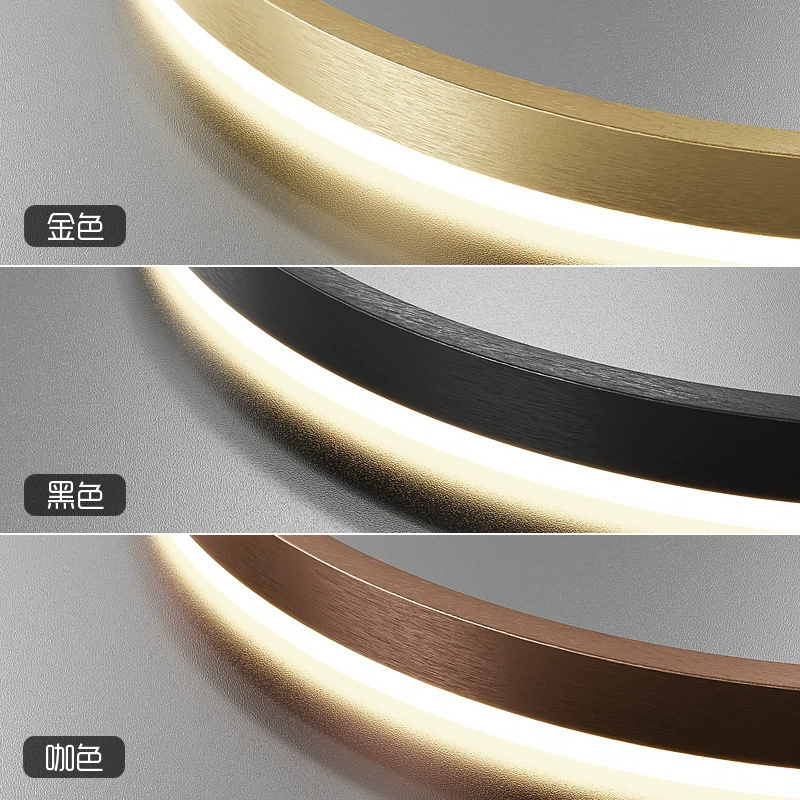 Minimalistic Ring Ceiling Lamp, Modern Living Room LED, Lightweight Aluminum, 40–100 cm