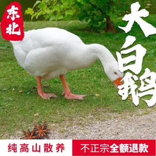 ���F���F�l�����ږ|���r��ɢ�B�����Z���Z���r��ֻ�Z���Zʳ���Z