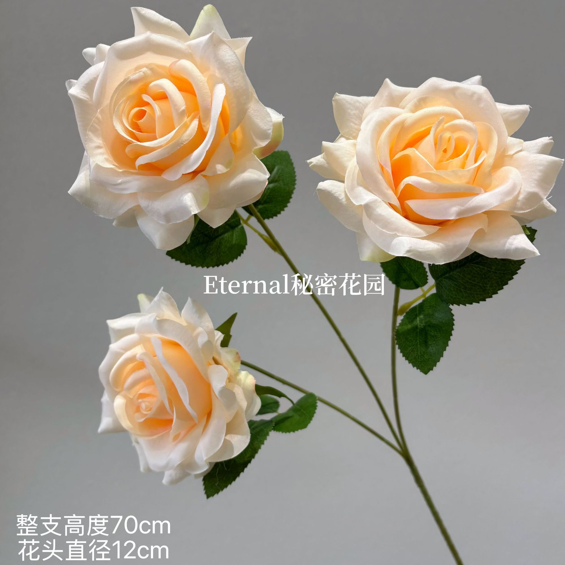 설산 장미