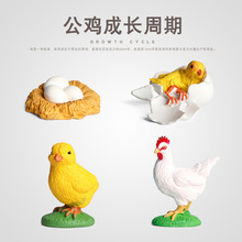 �羳�������ģ������Ұ�����﹫�u������ͯ�J֪���L���ڵؔ����l