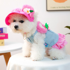 宠物衣服秋冬款小型犬幼犬快乐狗猫保暖舒适服饰草莓花花牛仔裙