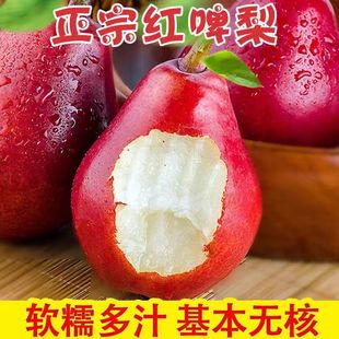 ���r��������̫�żtƤơ���������r��ơ��������tơ�殔���tƤ