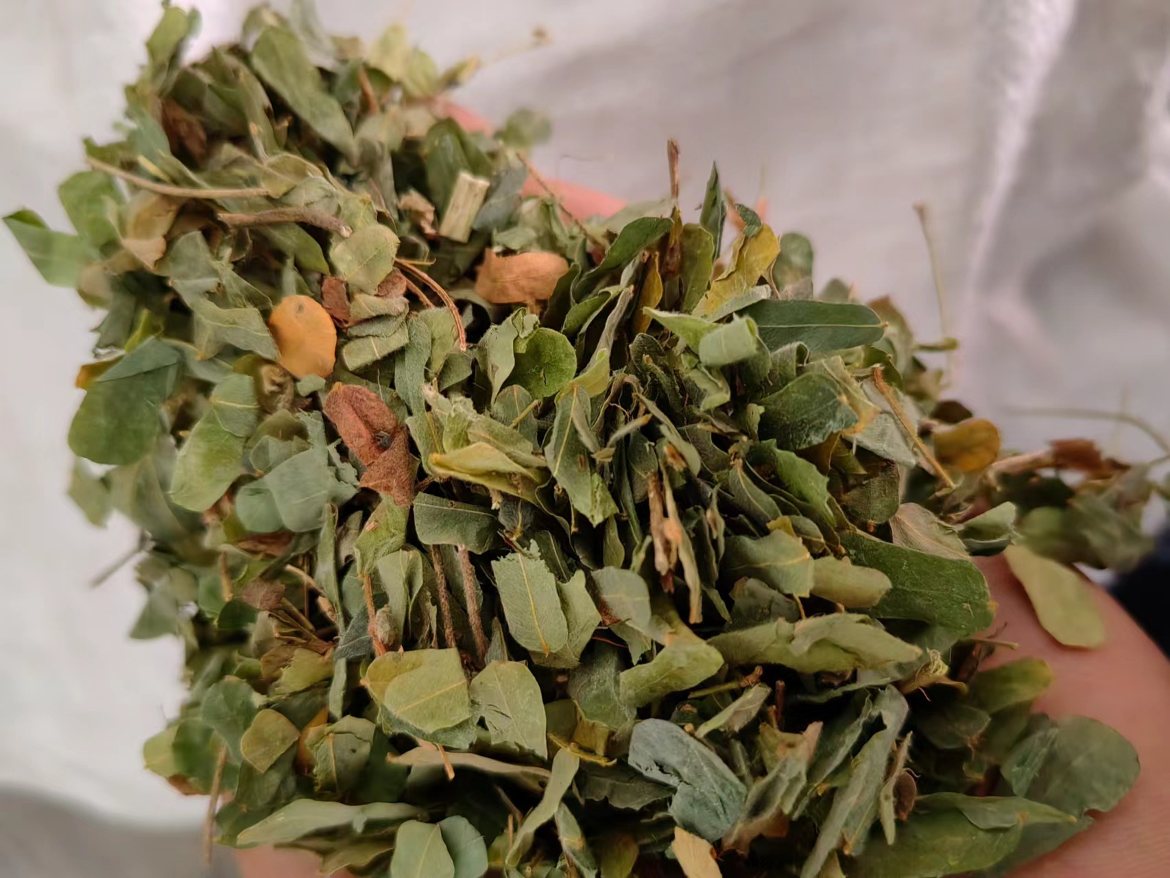 Ji Gu Cao (Abrus cantoniensis) — Dried Food Herb Vine for Herbal Tea & Soup key features