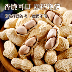 花生咸干帶殼花生零食堅果整袋炒貨休閒零食年貨批發一件代發