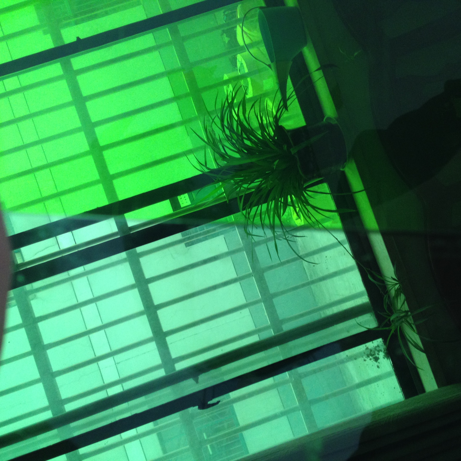 2mm采光pet板厚度颜色尺寸表面亚光/磨砂/颗粒/光面定做