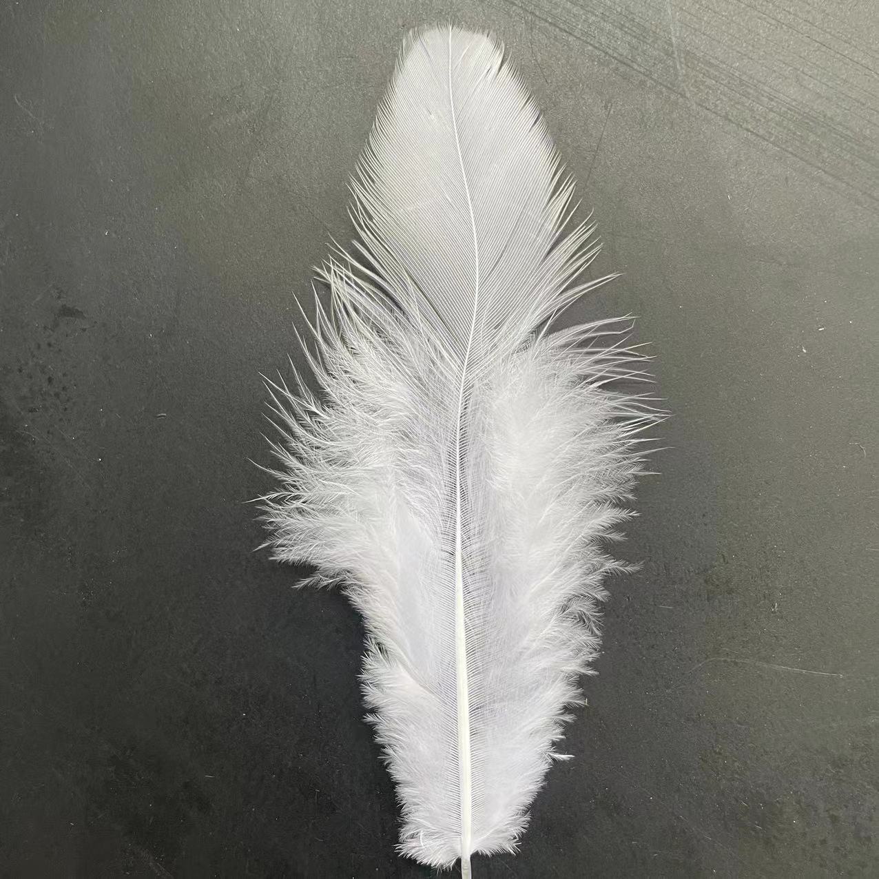 微信图片_20240419105647