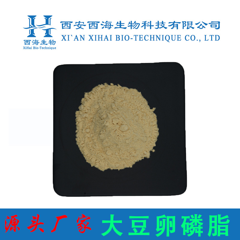 大豆卵磷脂99% 食品级 大豆提取物 大豆卵磷脂粉末 厂家直供现货