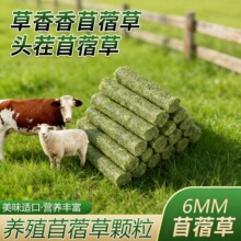 �ϻ���ޣ���w���ţ�����Z��ό������С��������ι�B�w��