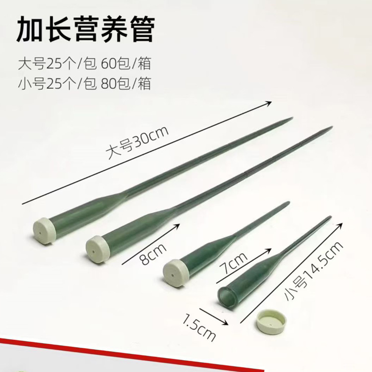 Largo verde alargado 25 pcs / paquete