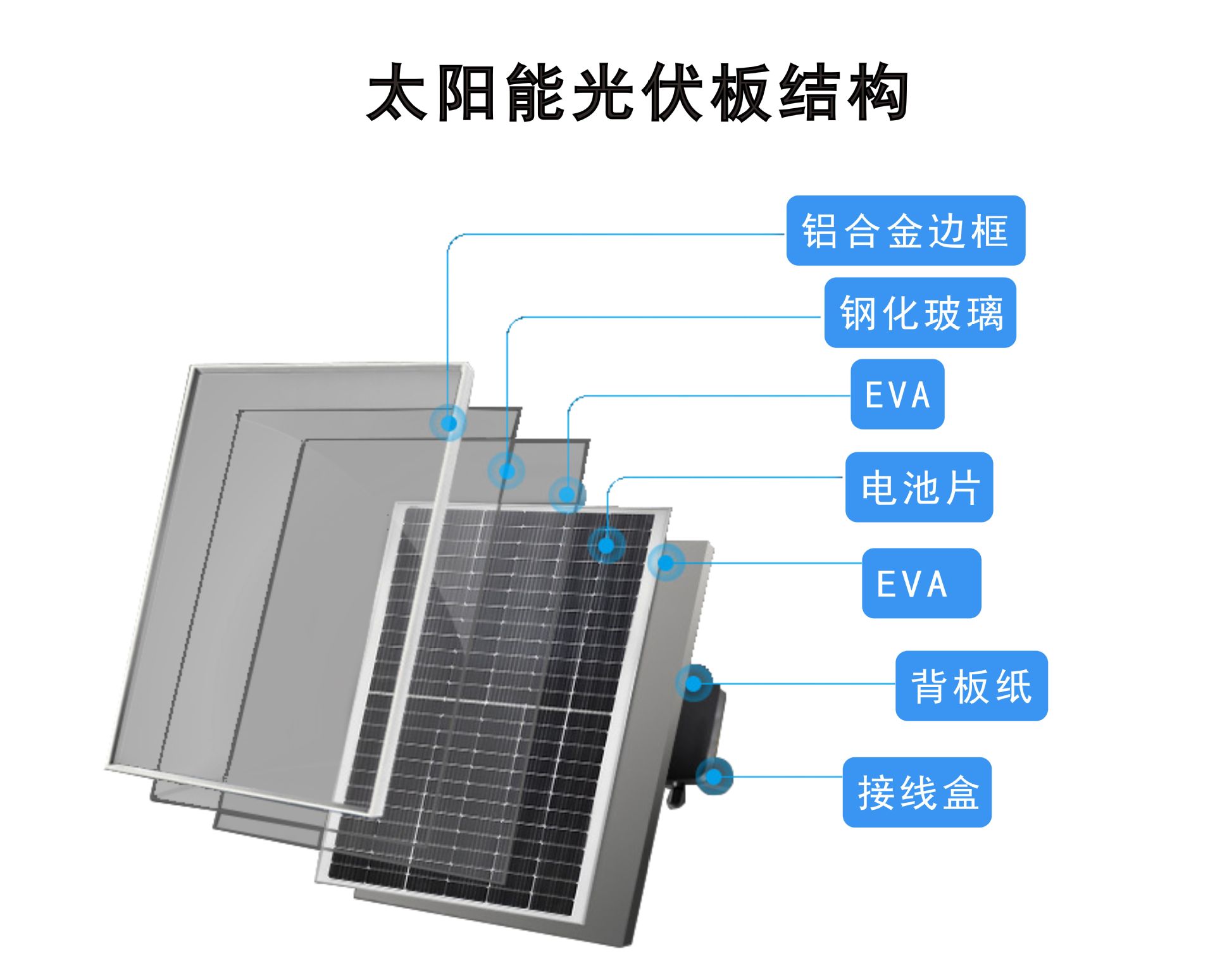 详情6.jpg