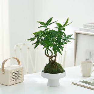 �lؔ������̦�\��ˮ��ֲ���҃ȃ����՚�Gֲ�k����������˺��B��