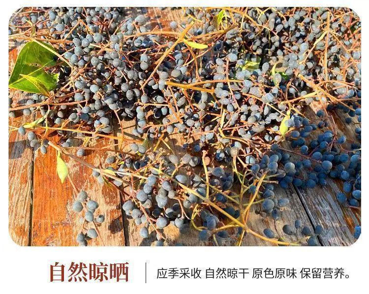 Nuzhenzi Dried Ligustrum Fruit 500g Whole Glossy Privet Berries Traditional Chinese Herb for Decoction and Culinary Use key features