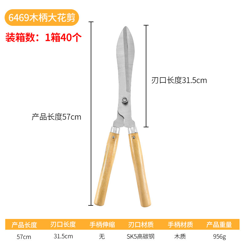 O1CN01Iy22lv1ZOJohExkV5_!!2740