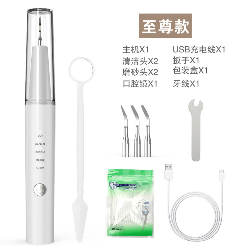 Ultrasonic/363 luxury model [4 tooth cleaning heads + dental floss]