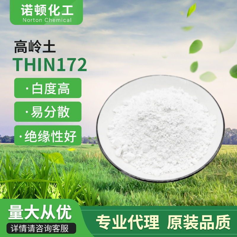 进口水洗高岭土KAOLIN 172易分散粒径细展色好改善表面张力油墨用