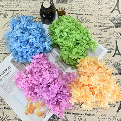 Magic flower immortal flower A-grade wooden hydrangea 20g birthday handmade hair accessories flowers diy wedding bouquet material package preservation
