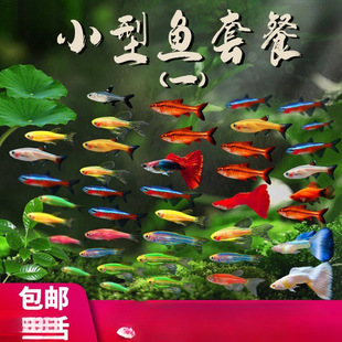 С�͟Ꭷ�����~���R�~��̖�^�p�~��ˮ���B�ͻ��ȸ�~����w�����