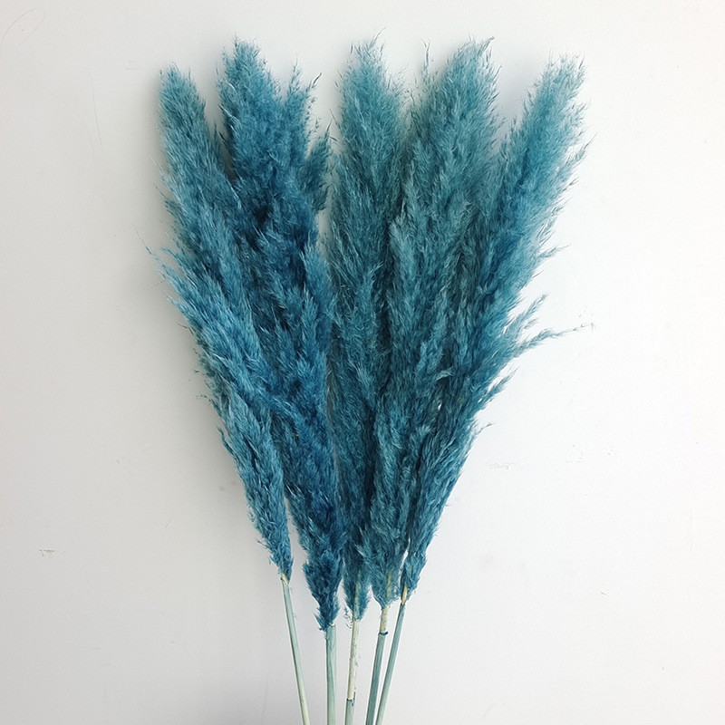 (12) 꽃 스파이크 5 개 70-80cm 전체 길이 약 140cm