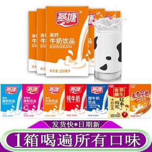 ����ţ�̸��}ţ��250mlԭζ����ݮζ�t����轼�ţ����������