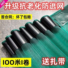 00��С���r���ӾW���Wţ�������з���~���r���Bֳ���ӾW����Ĥ