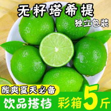 塔希提无籽柠檬青柠檬海南圆柠檬正宗批发新鲜鲜果专用水果