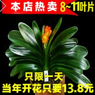 �����m�������玧�����ļ����B���⻨�ܾGֲ���҃ȈA�^���д�С��