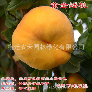 �޽����6-6�Ҙ���6�³��������S��������ϱ����Nֲ����Y��