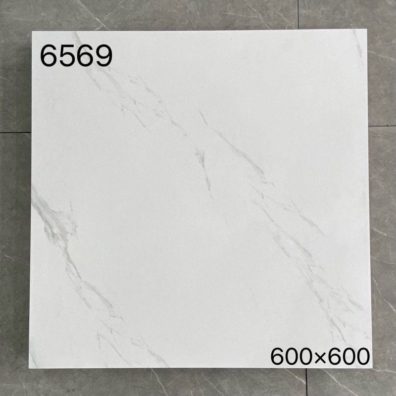 6569