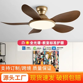 风扇灯;吊扇