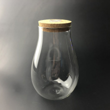 苔藓微景观创意瓶 diy带灯水滴玻璃瓶 木塞生态瓶 制作容器批发