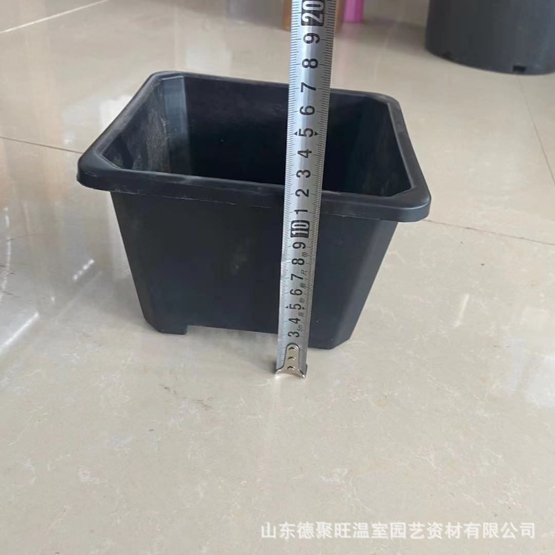 f1e3652be26575d4fafafeed80c950