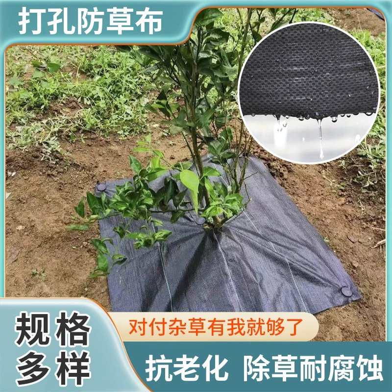 Антисорняковая ткань, перфорированная дышащая мульчирующая пленка, ткань для прополки, ткань для резки сада, теплицы, сельскохозяйственная ткань для резки цветов, защита от старения