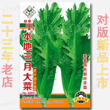 本地三月大菜种子 约3200粒耐寒花叶芥菜种子 客家特色裂叶芥菜籽
