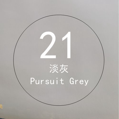 21 light gray 2.7× 5m