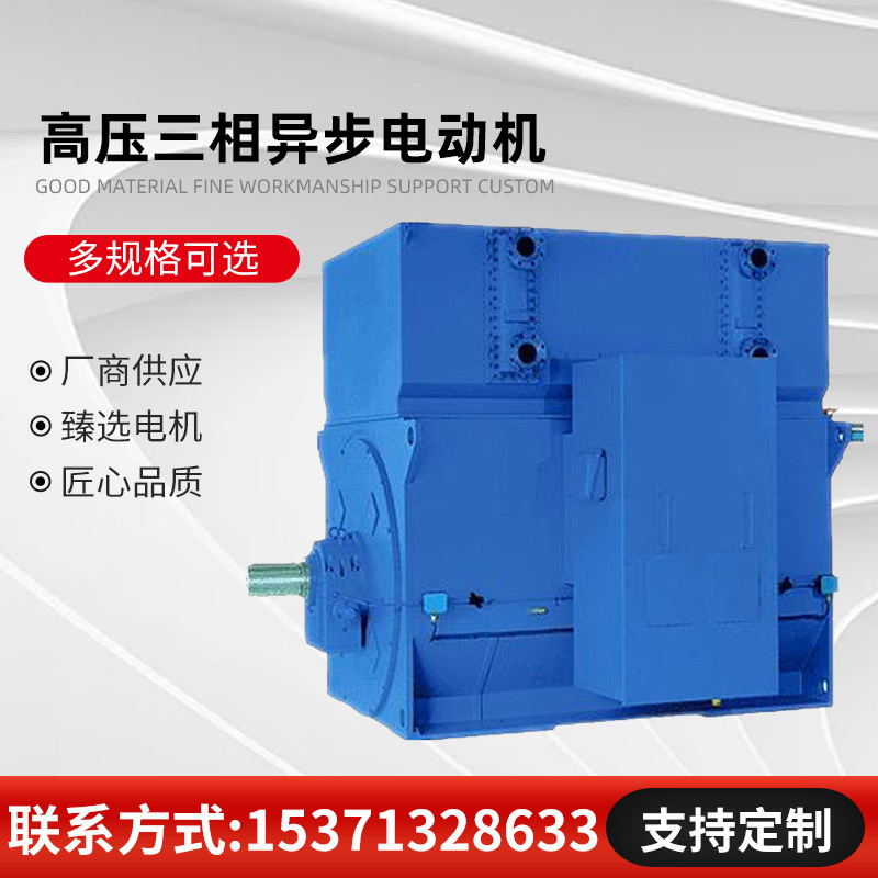 Y5602-8 710KW 10KV高压电机专业生产