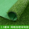 2.5 cm grid encrypted spring grass