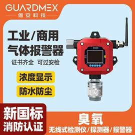 其他气体分析;气体检测仪;氧气检测仪