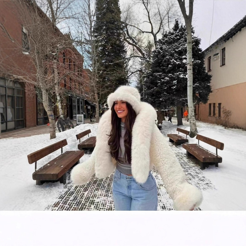 Amazon Aliexpress European and American Cross-Border Foreign Trade Artificial Fur Short Hooded Jacket Women's Teddy Fur Coat