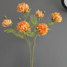 ���浥֧3ͷ��յ�ճ�����ʾ� ��ŷ�Ҿ������廨װ�� ��Ƽٻ�