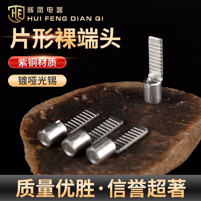 冷压端子片型接线端子DBN5.5-10系列紫铜插片裸端子端子