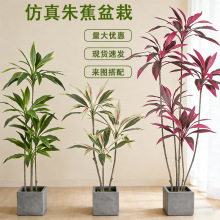 �p�ݷ���Gֲ�콶�߲��F�����Կ͏d�k���Ҵ�������b[����ֲ��