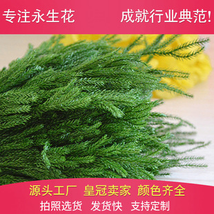 ������ʯ�� ����������r���Y��������l DIY�仨�Y�� ������Ʒ